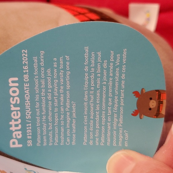 Patterson Squishmallow - 8" - Picture 3 of 4